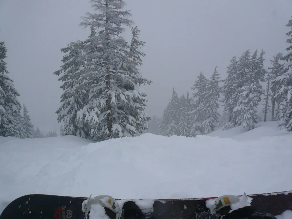12 Inch Day