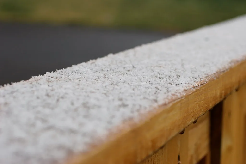 First Frost