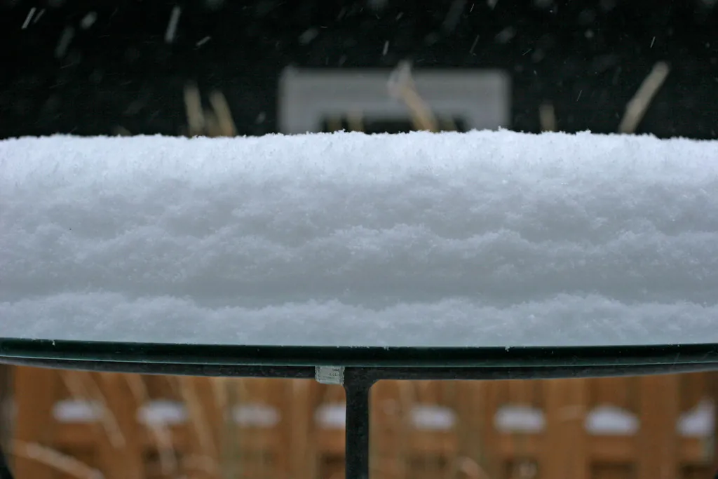 Snowtop