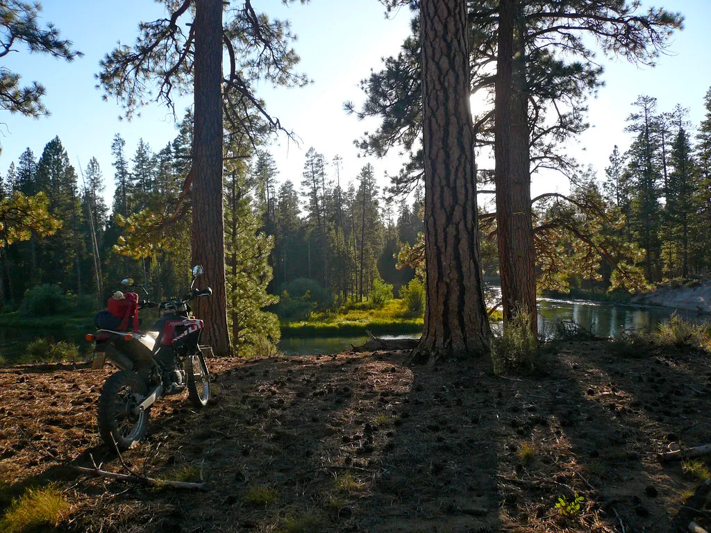 Passing through LaPine