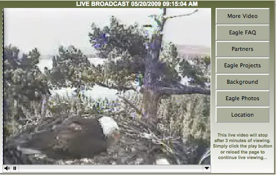eaglecam